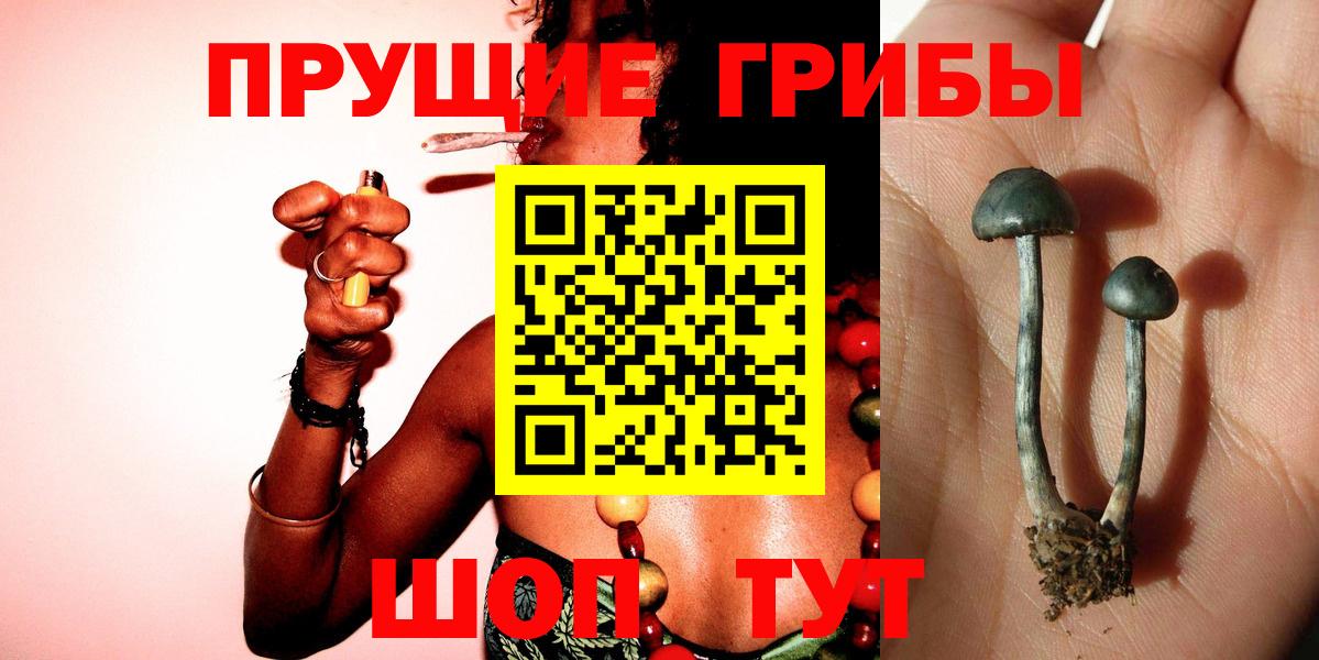 Псилоцибиновые грибы Cubensis  Вход с VPN  Арсеньев  Галлюциногенные грибы Cubensis 